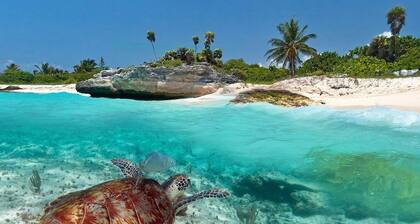 Casa en Acapulco frente a la bahia 015