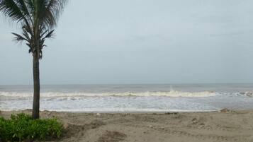 Playa en los alrededores