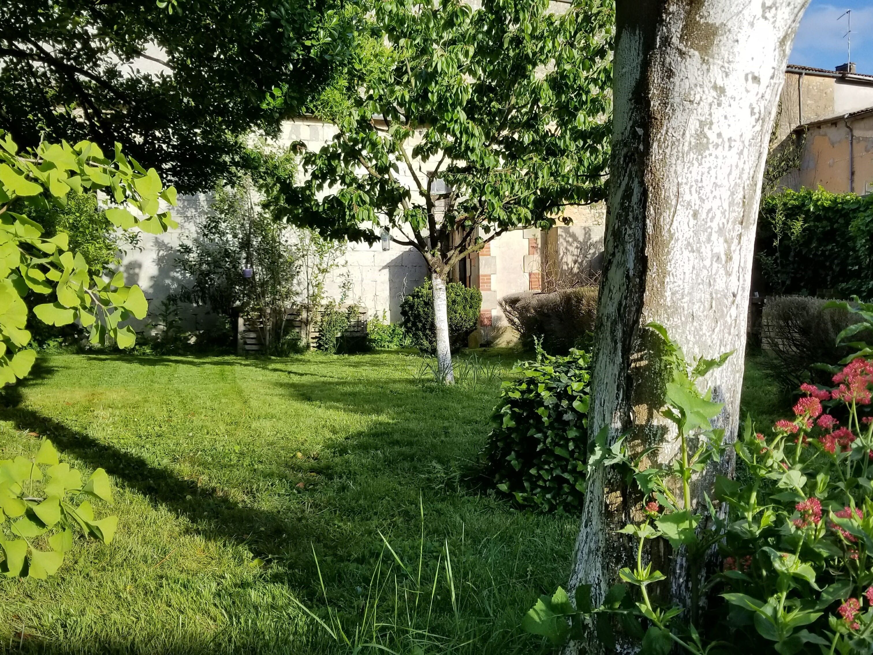Een verzorgde tuin met gazon, verschillende struiken en een boomstam.