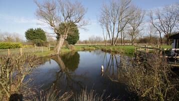 House Waterloo in Tibenham - max 30 people | View from room