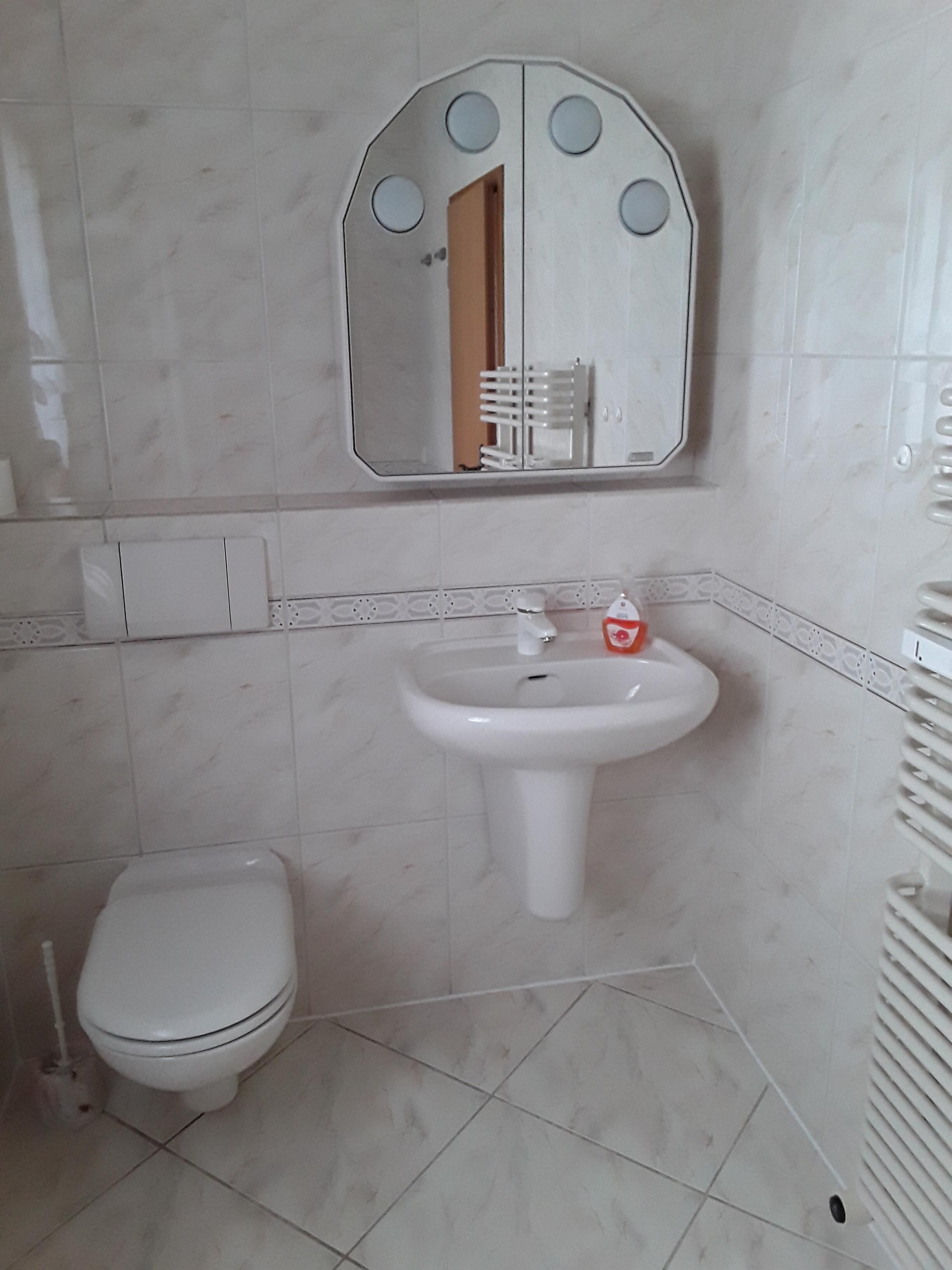Un baño con inodoro, lavabo y espejo.