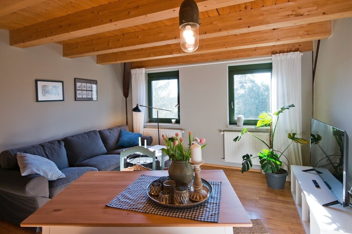 Apartamento | Zona de estar | Una Smart TV, una mesa de tenis de mesa, libros