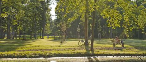 Un parc avec un étang, des arbres et un banc.