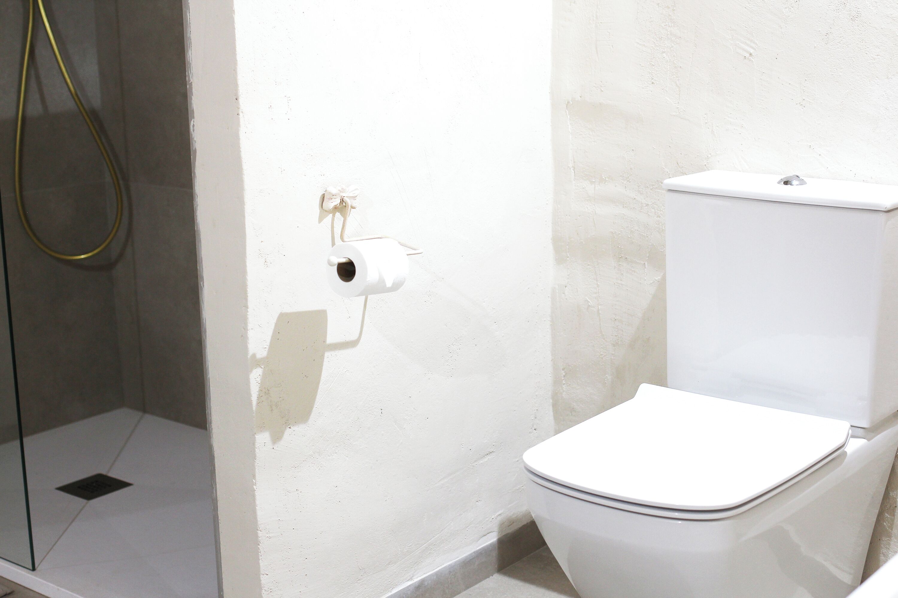 Een badkamer met een wit toilet, een douchecabine en een toiletrolhouder aan de muur.