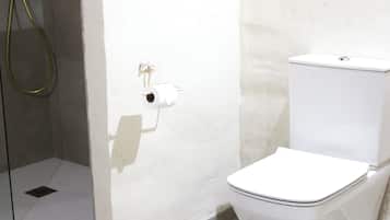 Een badkamer met een wit toilet, een douchecabine en een toiletrolhouder aan de muur.