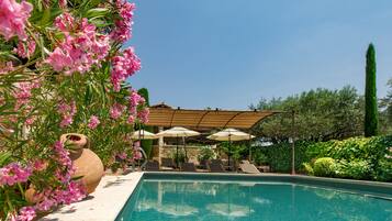 Kolam renang outdoor, dengan payung kolam renang dan kursi berjemur