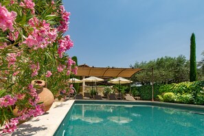 Outdoor pool, pool umbrellas, pool loungers - Domaine Les Roullets (Oppede)