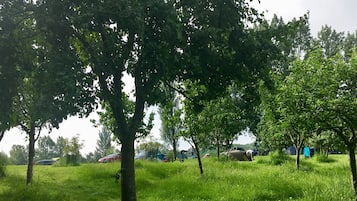 Vue depuis lâhĂ©bergement