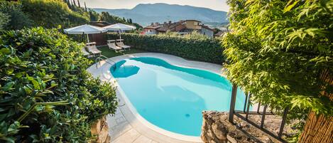 Seasonal outdoor pool, open 8 AM to 8 PM, pool umbrellas, sun loungers