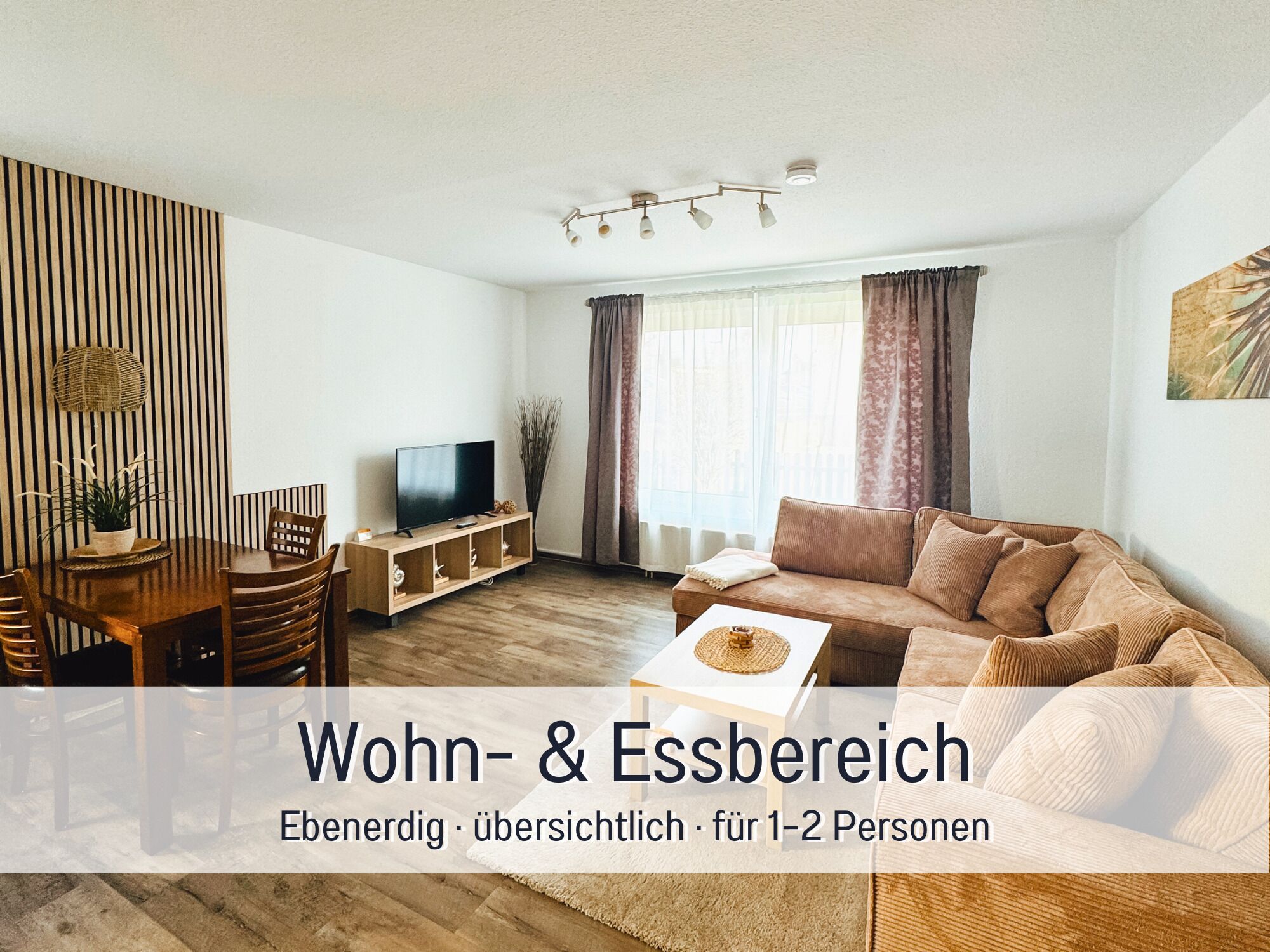 Televisión de pantalla plana