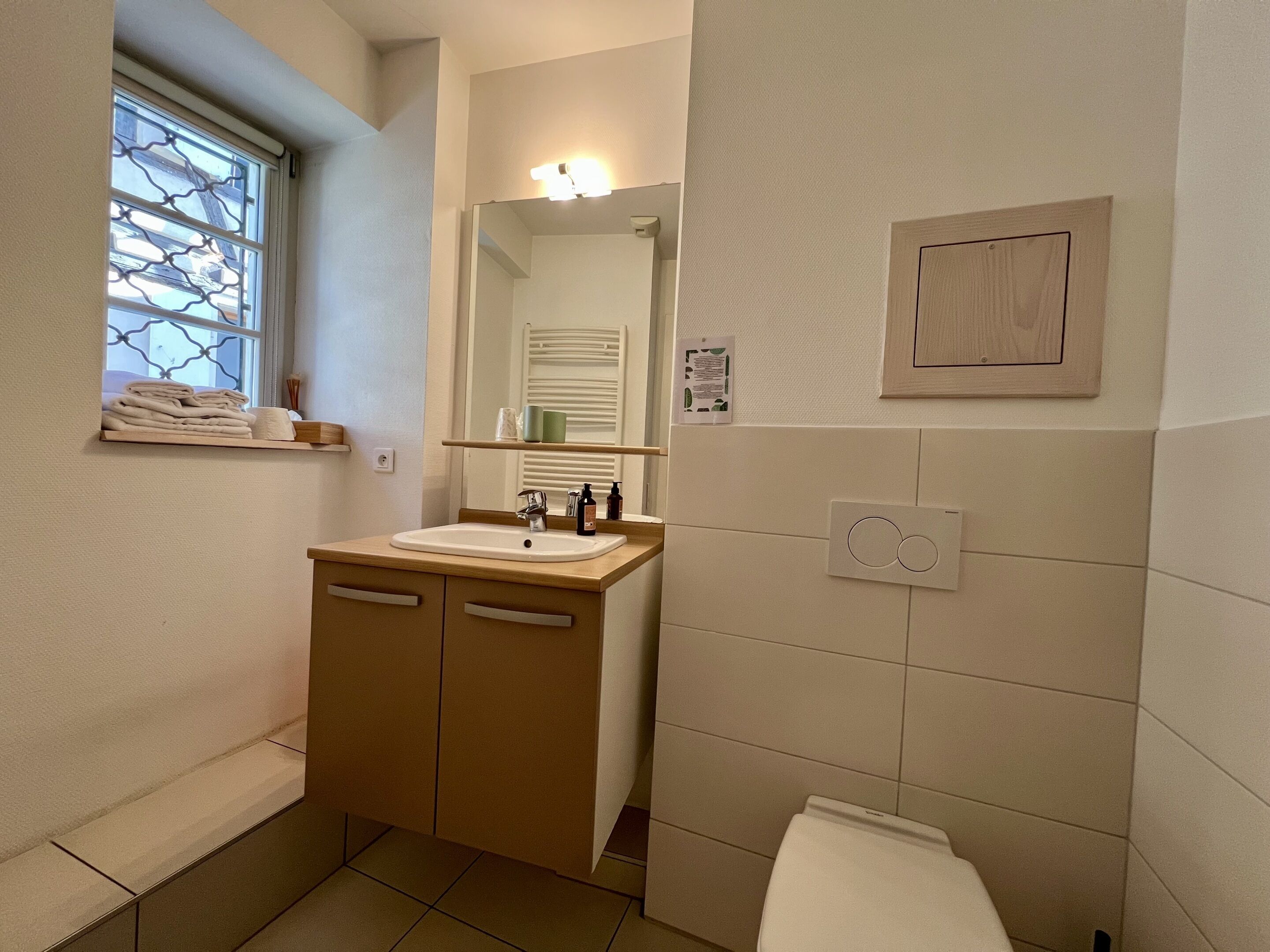 A bathroom with a sink, mirror, and toilet.
