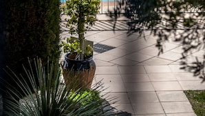 A poolside area with a potted tree, a large bush, and a tiled walkway leading to a building with a window. - Hôtel Leukos (Leucate)