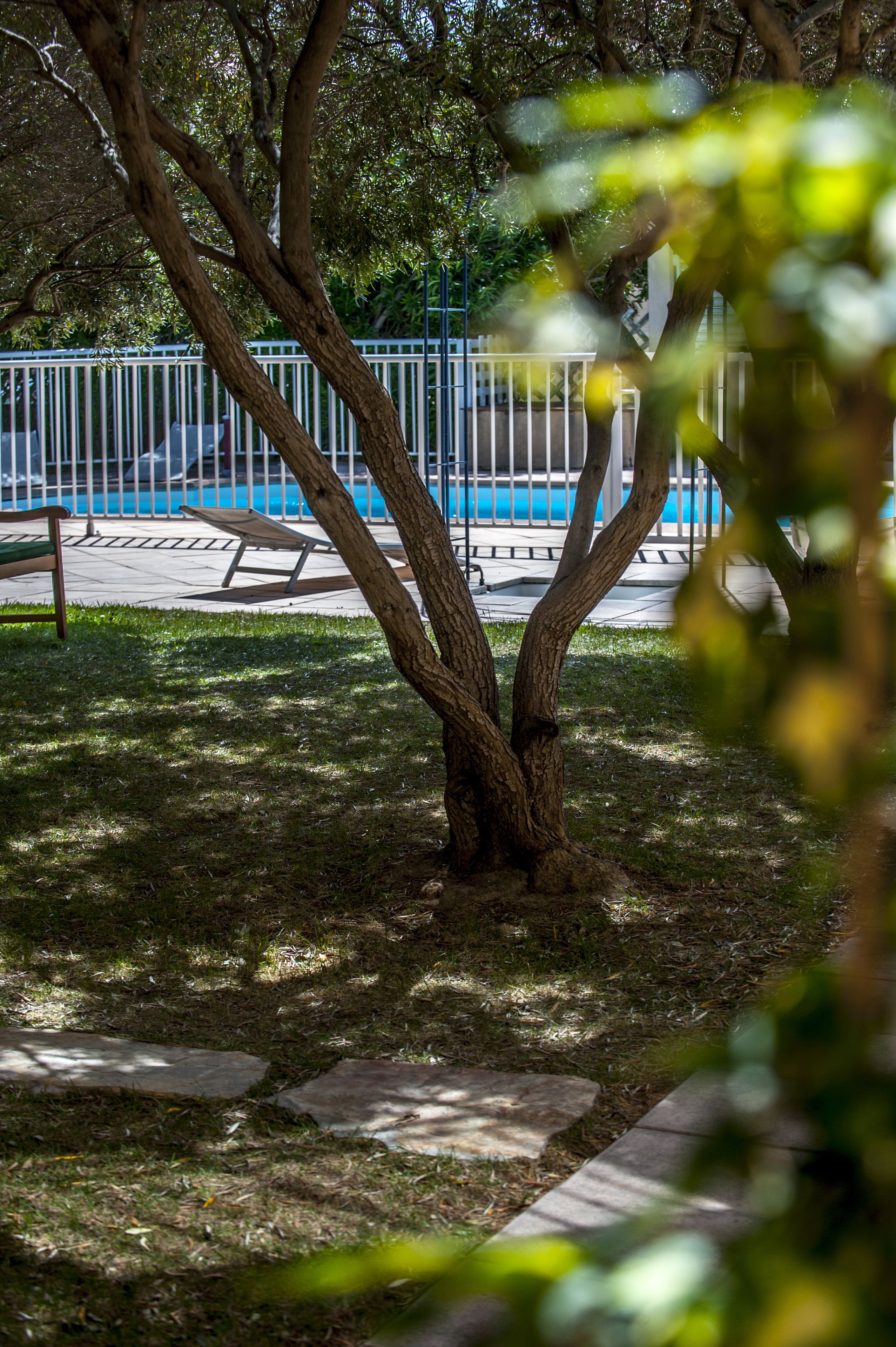 Un sendero bordeado de árboles que conduce a una zona de piscina con valla metálica y sillones de descanso.