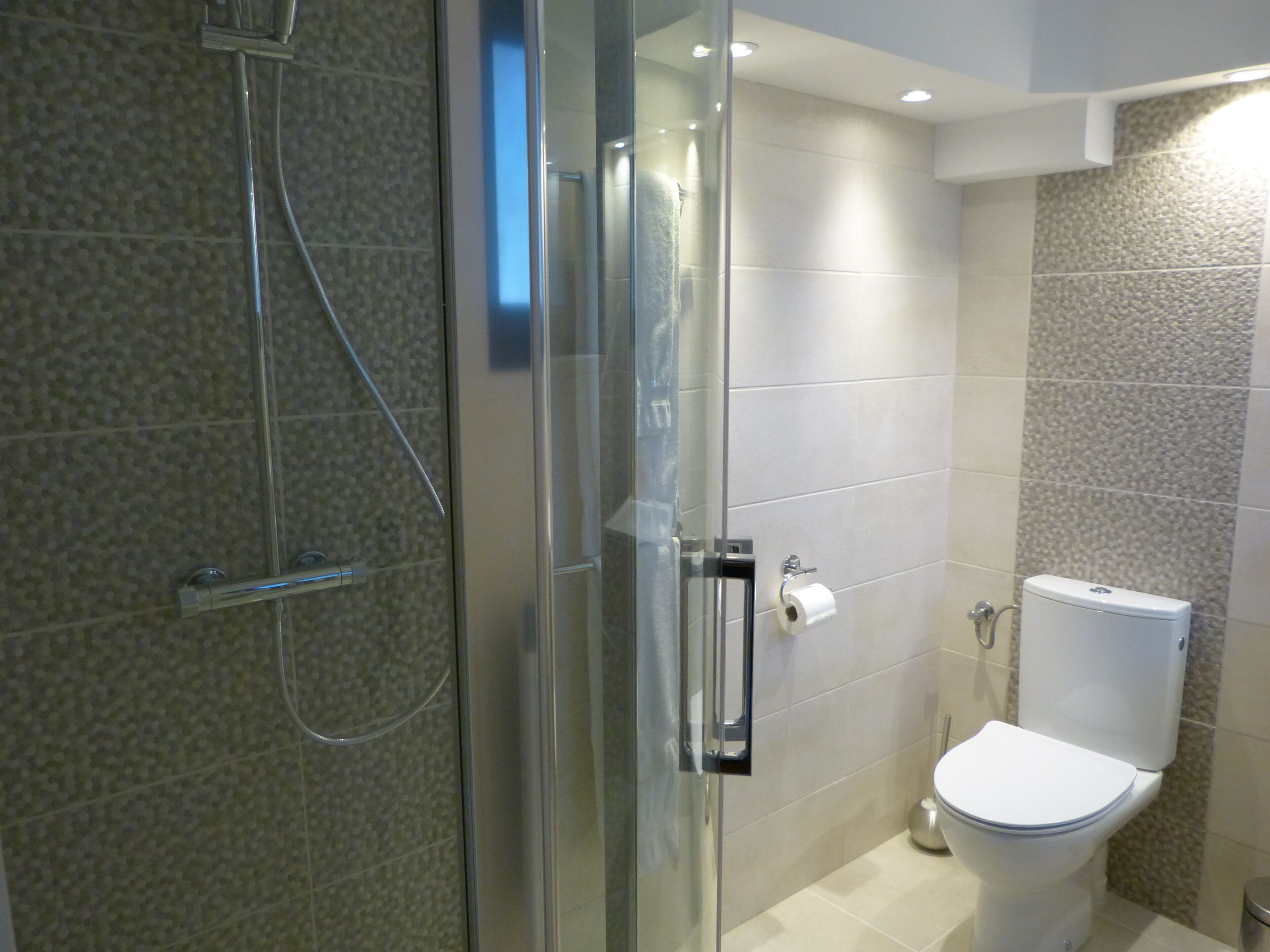 Un baño moderno con cabina de ducha de vidrio, inodoro y puerta de vidrio.