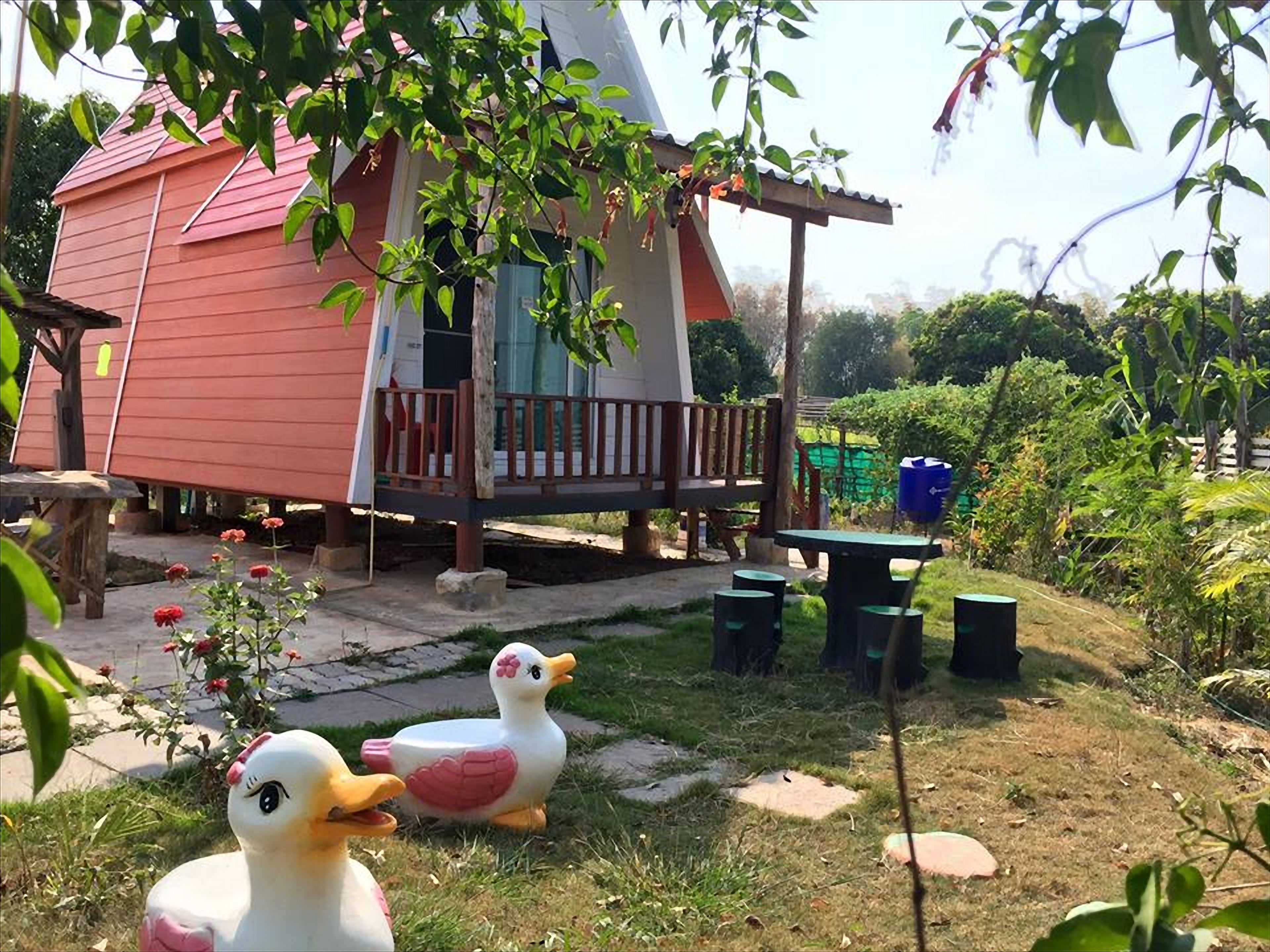 Terrein van de accommodatie