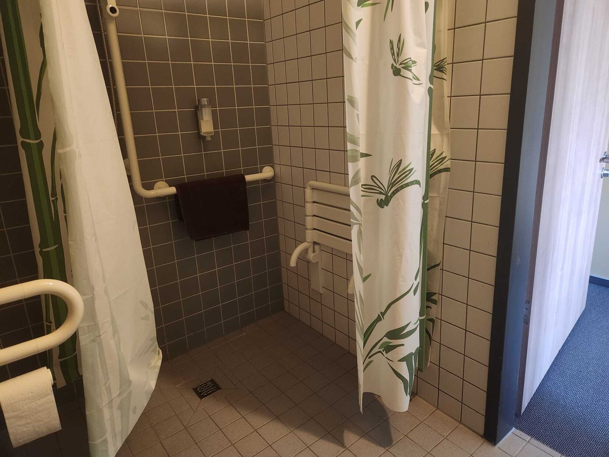 deluxe double room, accessible | bathroom | rainfall showerhead, eco-friendly toiletries, hair dryer, slippers