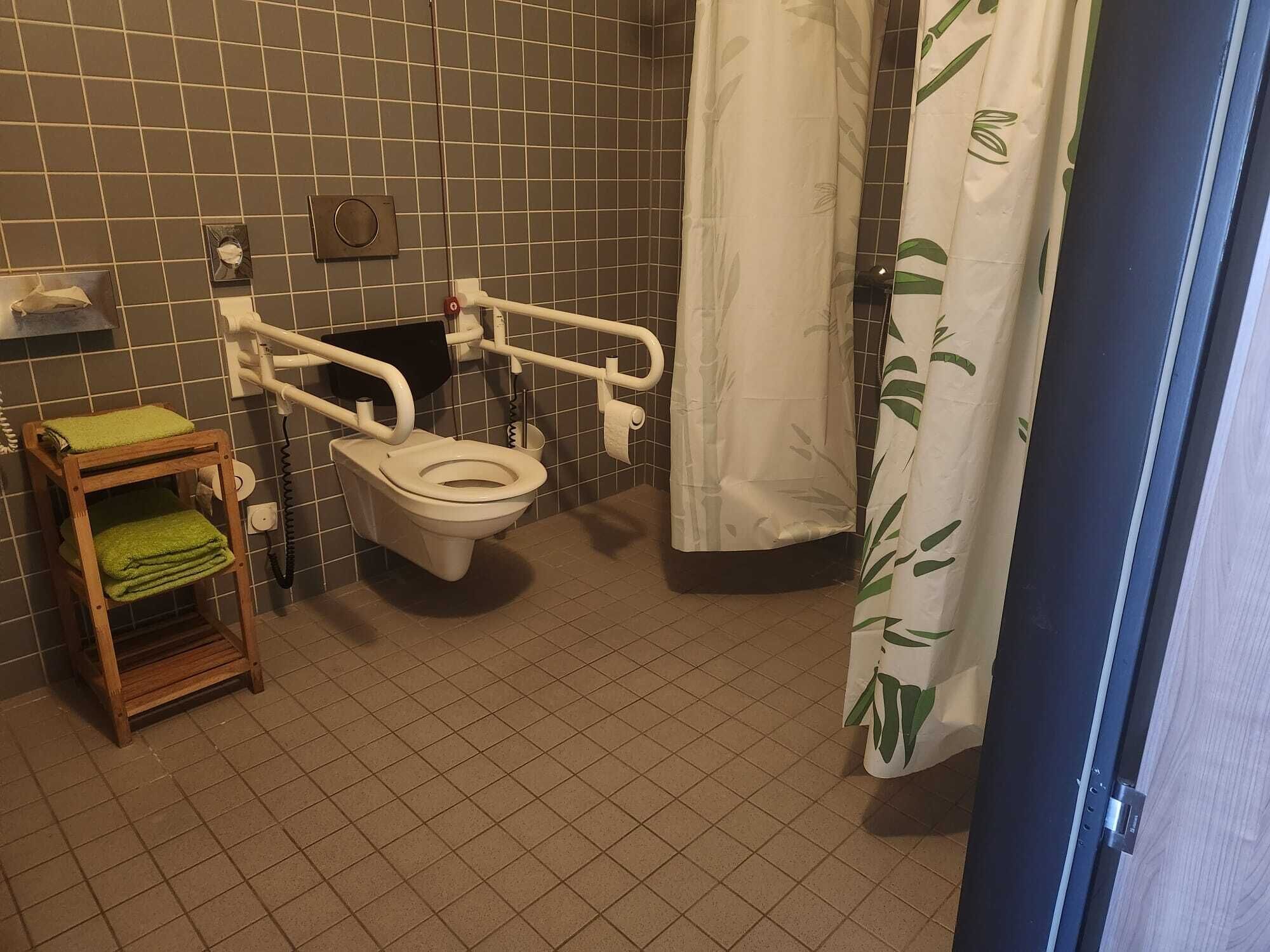 deluxe double room, accessible | bathroom | rainfall showerhead, eco-friendly toiletries, hair dryer, slippers