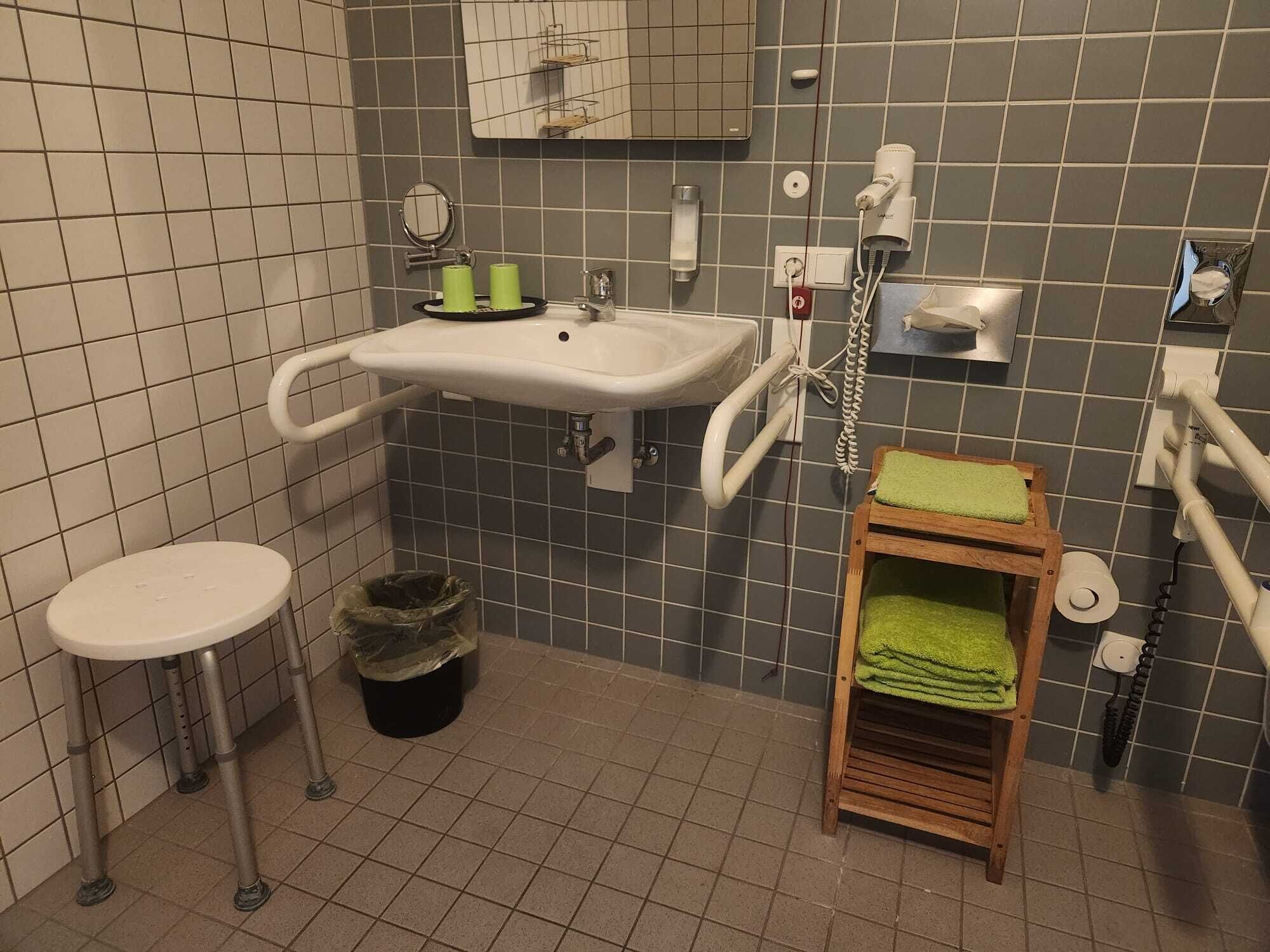 deluxe double room, accessible | bathroom | rainfall showerhead, eco-friendly toiletries, hair dryer, slippers