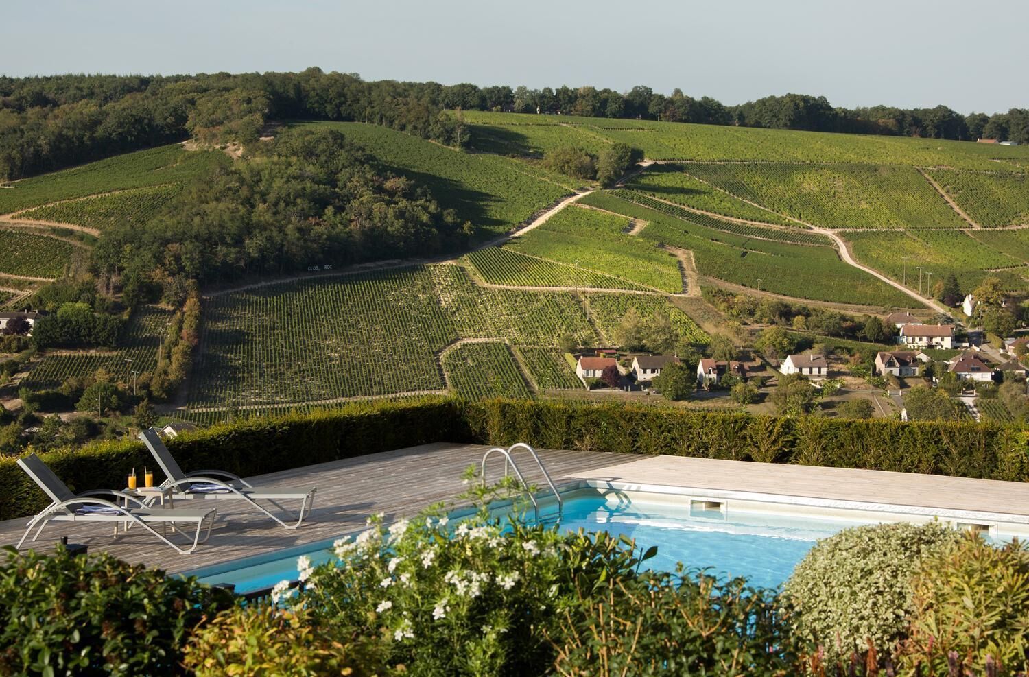 A pool area with lounge chairs and a view of vineyard rows.