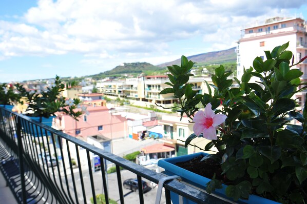 A balcony with a potted plant and a pink flower, overlooking a residential area with buildings and a mountain in the background.
