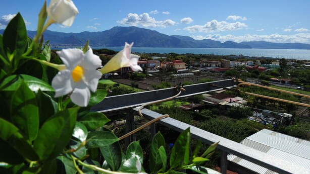 A coastal town with a bridge, mountains in the background, and a flower in the foreground. - The Last Floor (Torre del Greco)