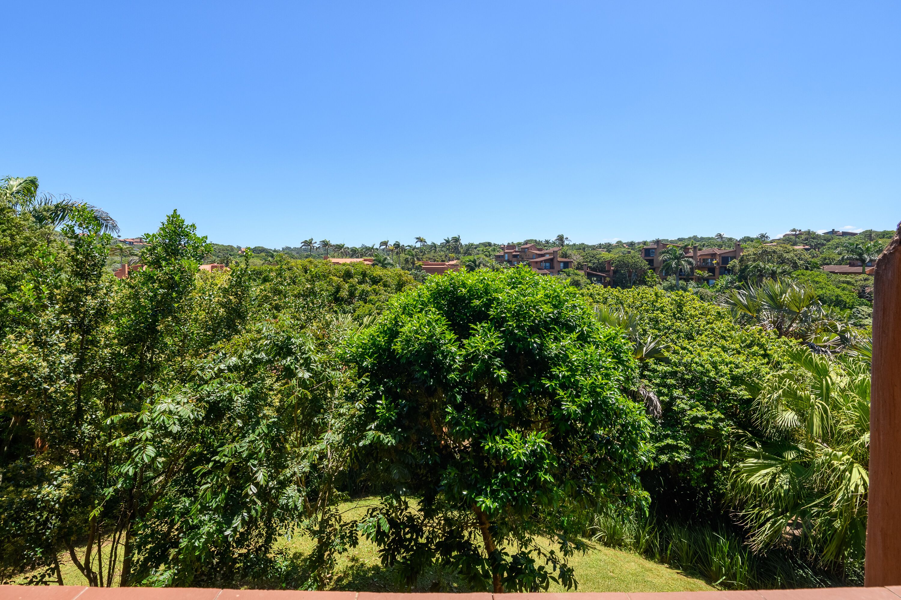 A lush green landscape with dense foliage and a clear blue sky.