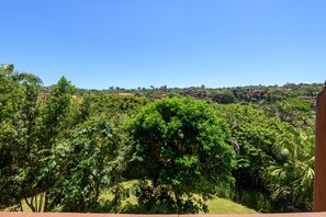 Classic Villa | View from room