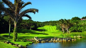 A golf course with a pond, palm trees, and a clear blue sky. - San Lameer Villa Rentals 3116 (Southbroom)