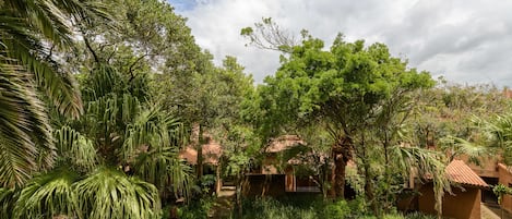 Jardin