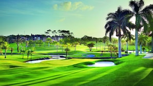 A golf course with well-manicured grass, sand bunkers, and palm trees. - San Lameer Villa Rentals 13937 (Southbroom)