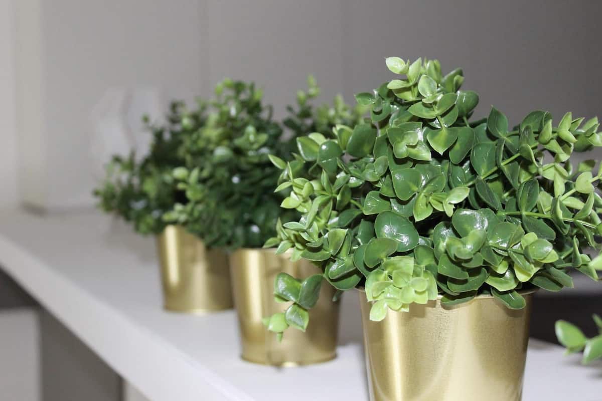 Individually decorated, individually furnished, desk, blackout drapes