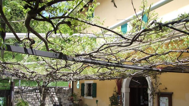 An outdoor patio with tables and chairs, surrounded by plants and a stone wall. - Locanda San Gallo (Moggio Udinese)