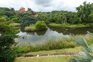 Vista desde la habitación