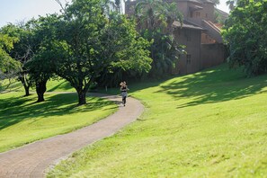 Escape to a serene oasis with a paved pathway perfect for jogging or leisurely strolls amidst lush greenery.