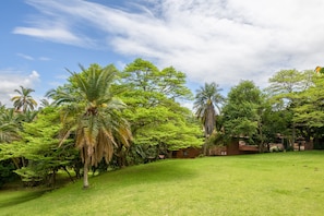 Superior Villa, 3 Bedrooms | View from room