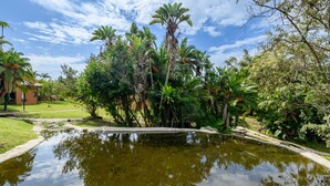 A serene garden with a pond, lush greenery, and a small building in the background. - San Lameer Villa Rentals 1902 (Southbroom)