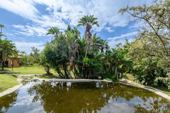 Un jardin paisible avec un étang, une végétation luxuriante et un petit bâtiment en arrière-plan.