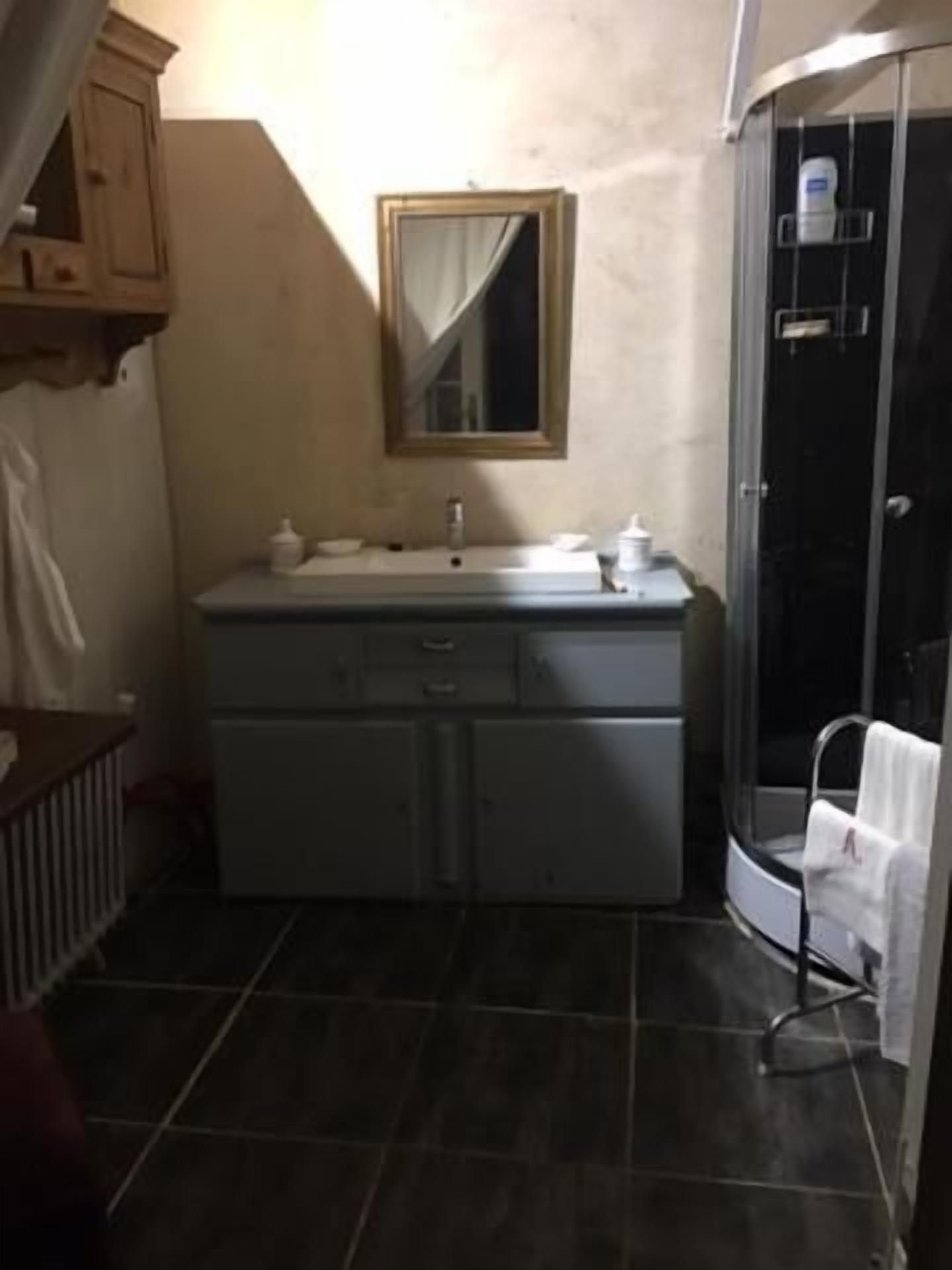 A bathroom with a dark tiled floor, a white sink with a mirror above it, and a shower area with a glass door.