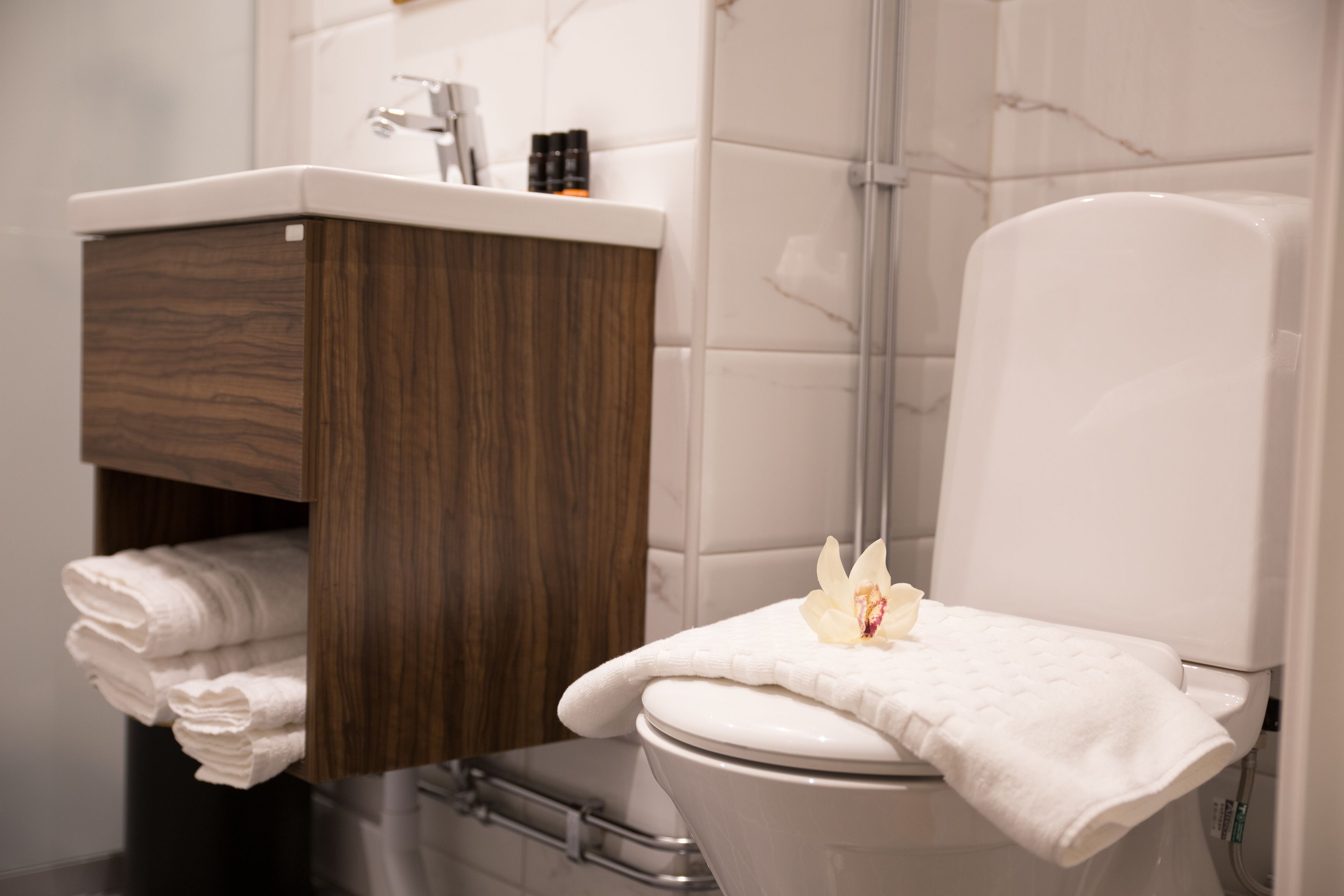 shower, rainfall showerhead, free toiletries, hair dryer