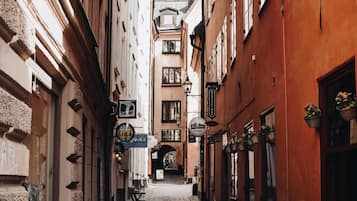 A cobblestone street flanked by historic buildings with visible shop signs and hanging flower baskets.