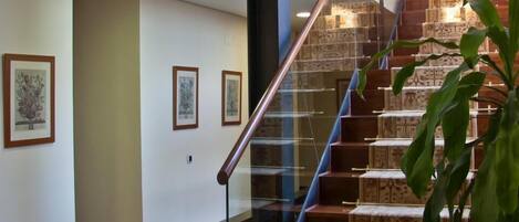 Una escalera moderna con barandas de vidrio y alfombra estampada que sube a un segundo piso.