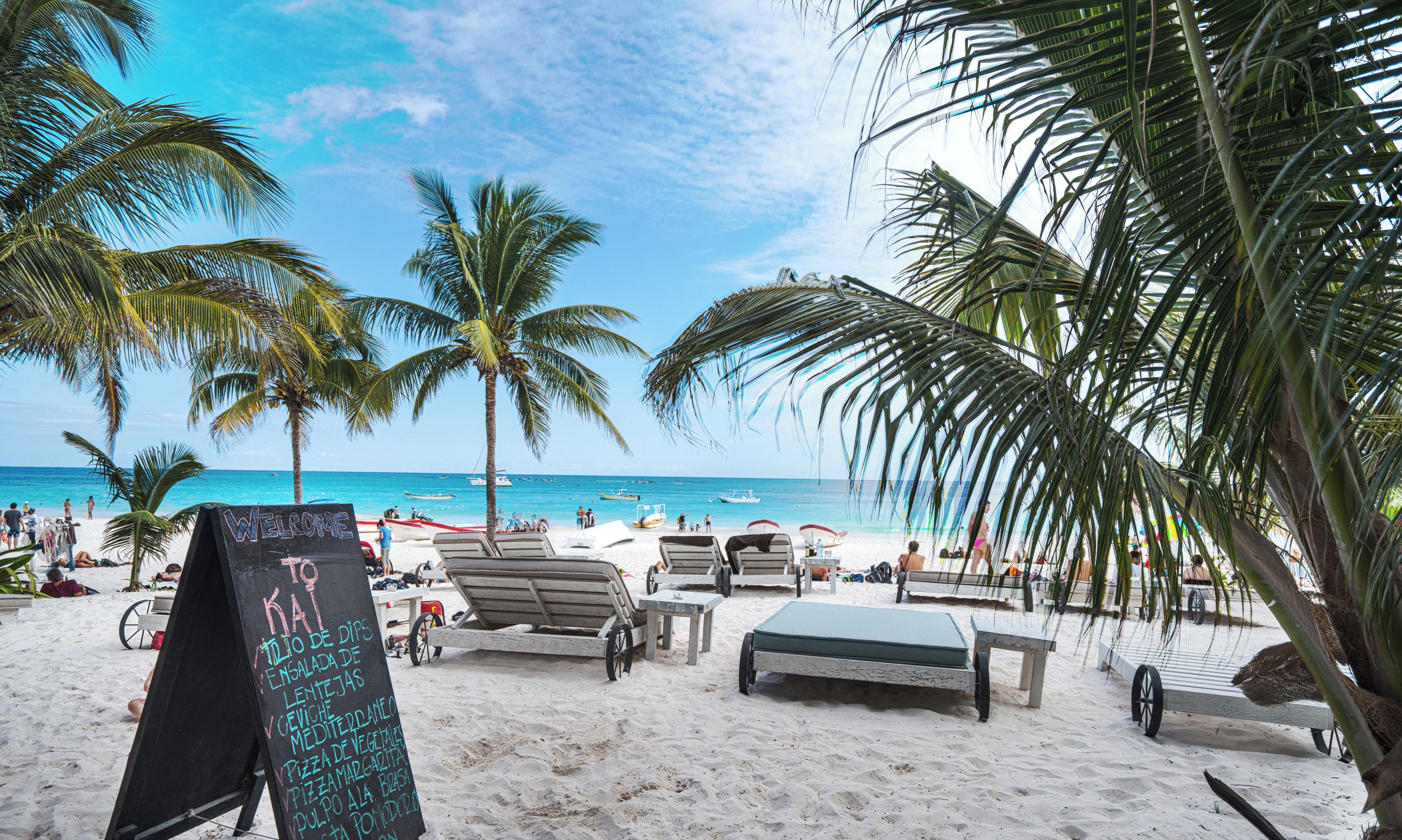 A beach with palm trees, lounge chairs, and a signboard with text.