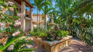 Unclassified image, 3 of 57, button - Casa Virgilios B & B (Nuevo Nayarit)