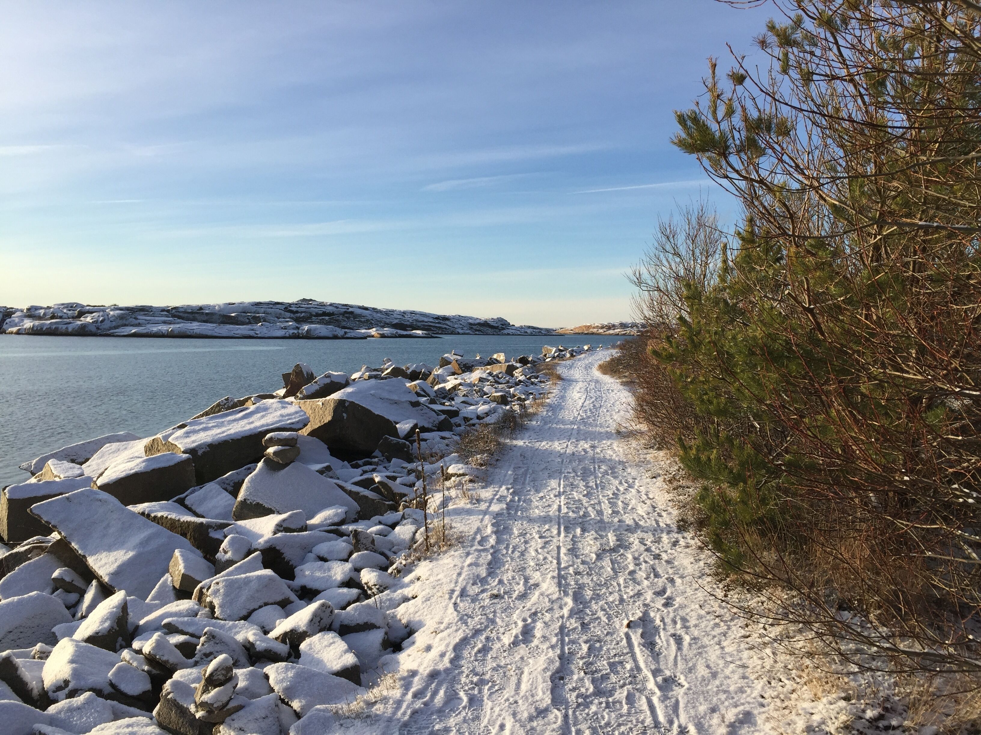 A snow-covered path beside a body of water with rocks and sparse vegetation.
