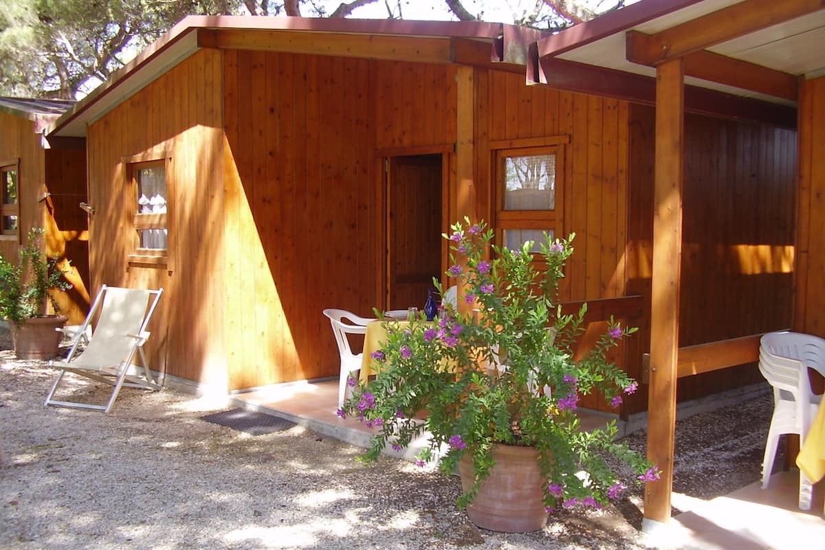 A wooden cabin with a porch, two white plastic chairs, a table, and a potted plant with purple flowers.