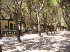Property grounds - Camping Village Riviera (Numana)