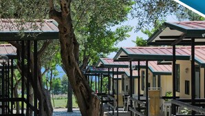 A row of covered outdoor seating areas with metal roofs and wooden benches, surrounded by trees. - Camping Village Riviera (Numana)
