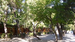 A courtyard with trees, a building with a sloped roof, and a gravel path. - Camping Village Riviera (Numana)