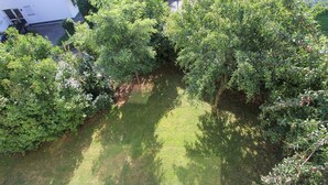 Een binnenplaats met gazon, omringd door weelderige begroeiing en een wit gebouw op de achtergrond.