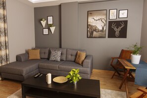 Living area - Rooftop Duplex at the Heart of Istanbul (Istanbul)